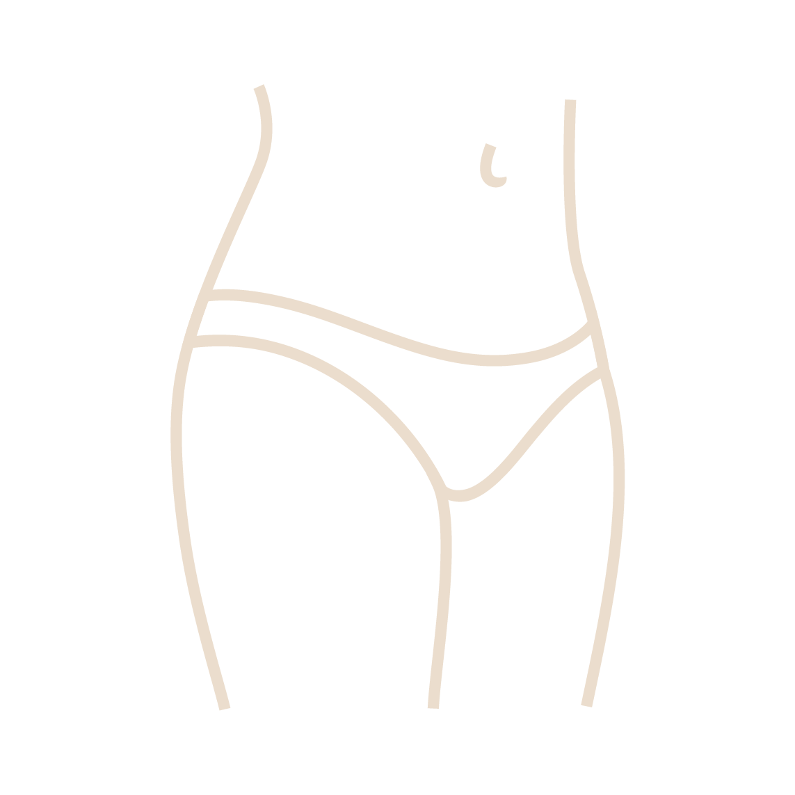 Corps