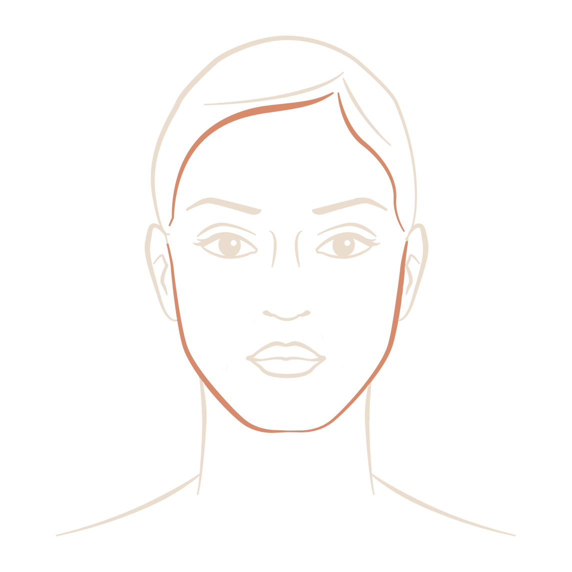 Ovale du visage