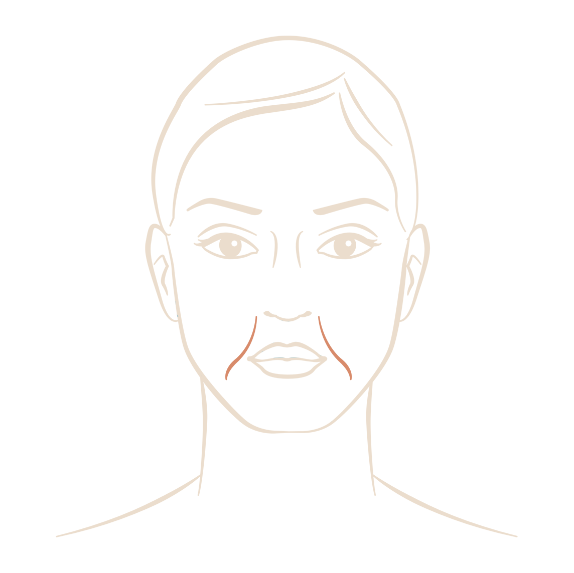 Sillons naso-génien